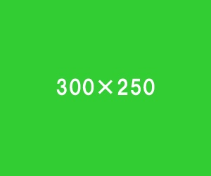 300×250
